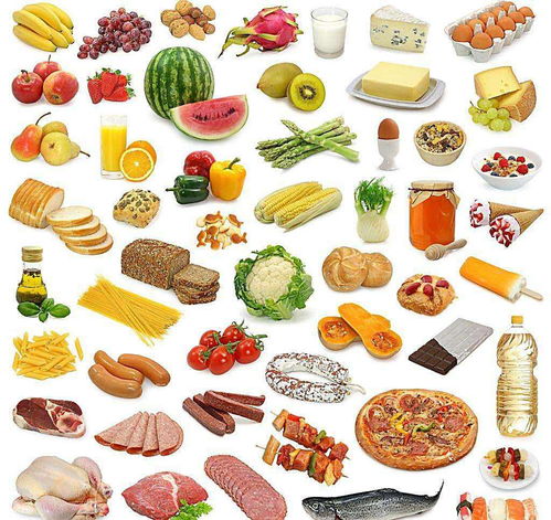 上海普陀区办理食品经营许可证的费用与注意事项